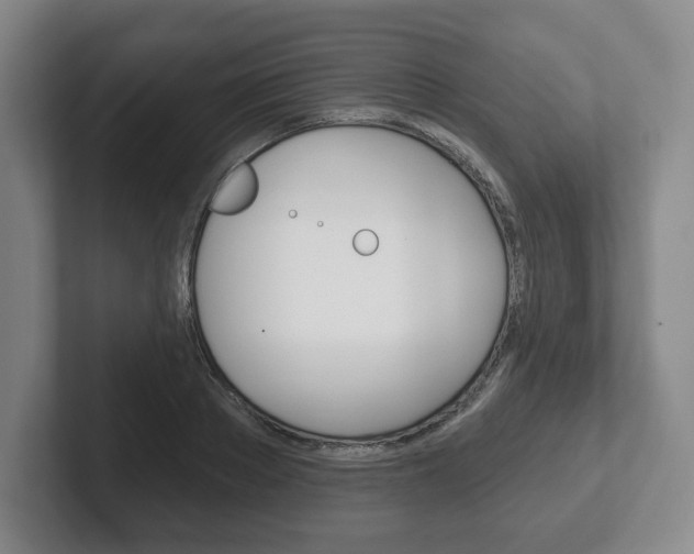 X0000102280889200807250939