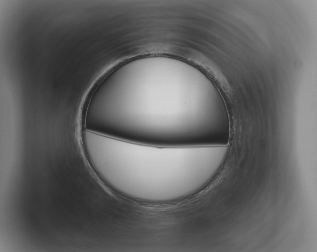 X0000102280894200807250939