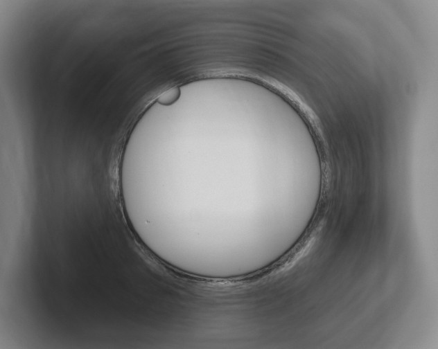 X0000102280897200807250939