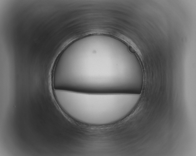 X0000102280898200807250939