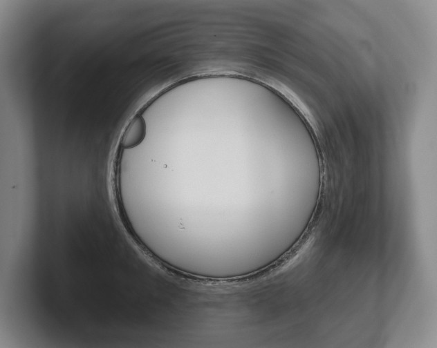 X0000102280901200807250939