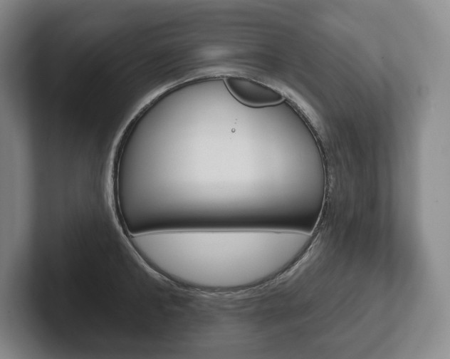 X0000102280902200807250939