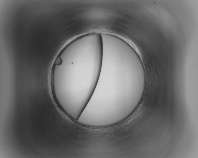 X0000102280903200807250938