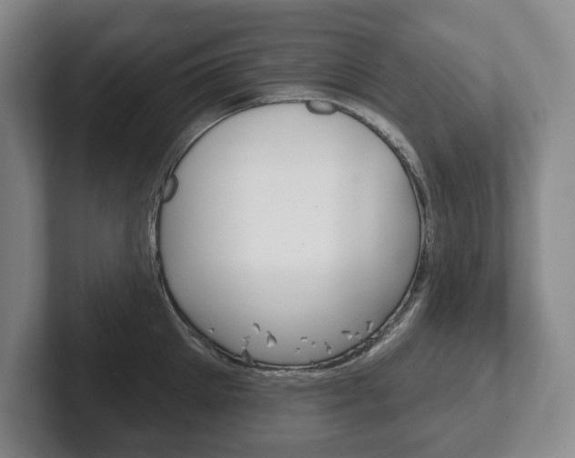 X0000102280905200807250938