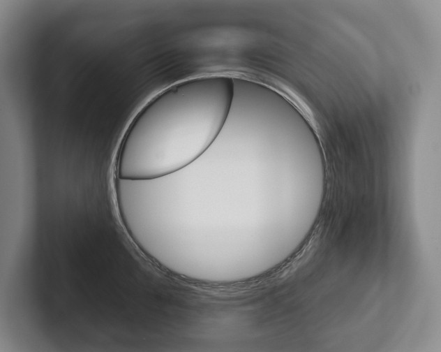 X0000102280907200807250938