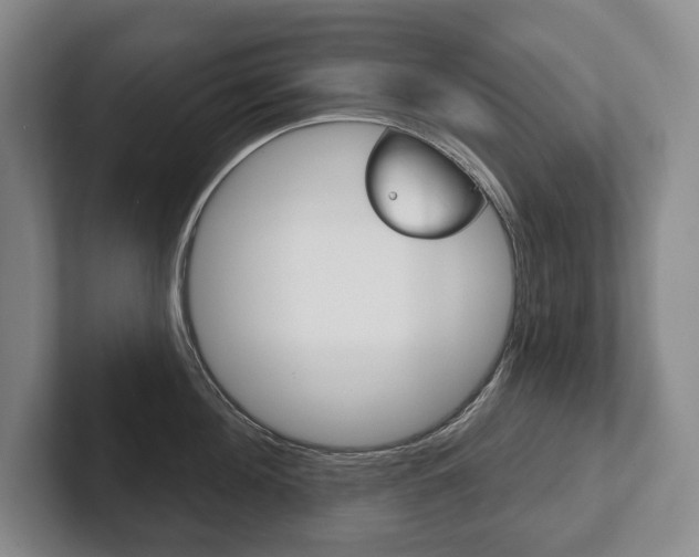 X0000102280908200807250938