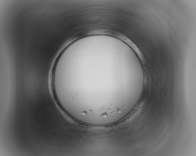 X0000102280909200807250938