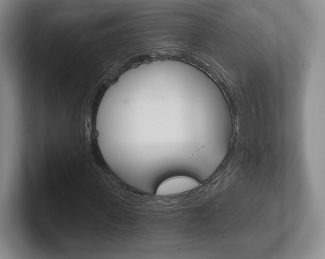 X0000102280915200807250938