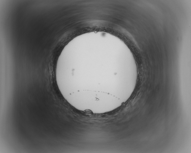 X0000102280918200807250938