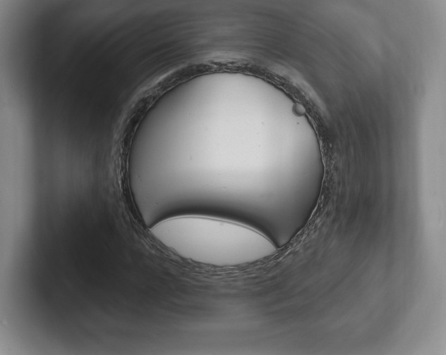 X0000102280920200807250938