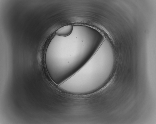 X0000102280922200807250938