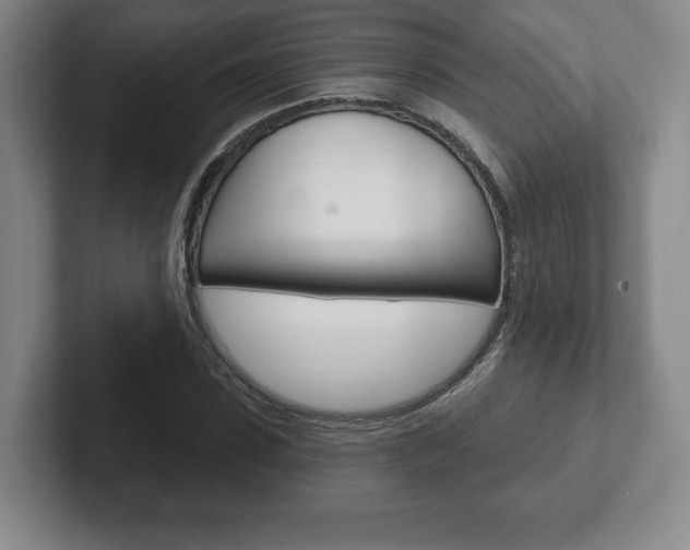 X0000102280923200807250938