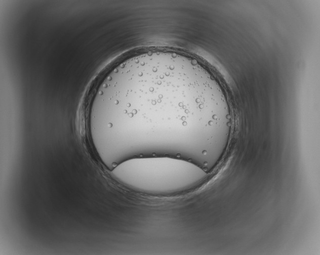 X0000102280925200807250938