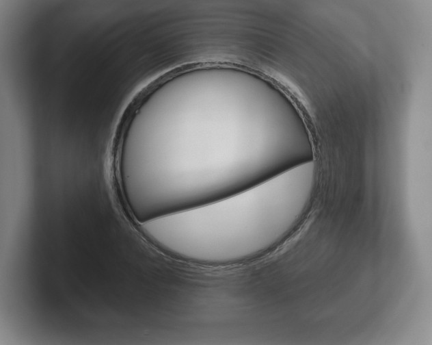 X0000102280928200807250938