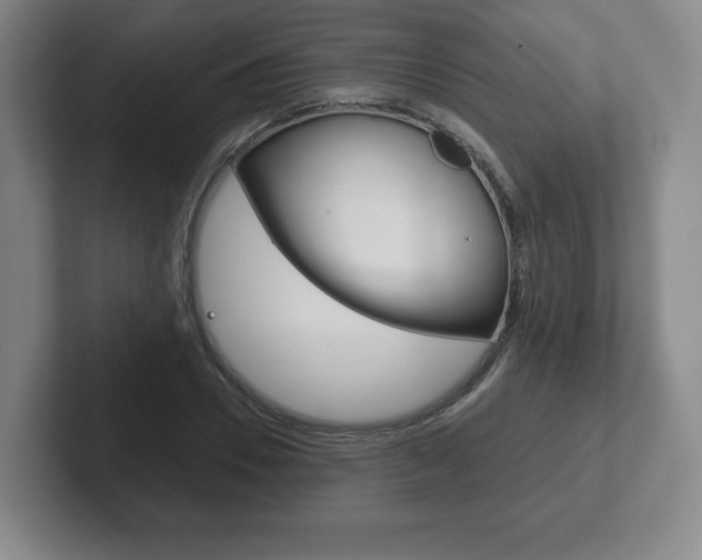 X0000102280930200807250938