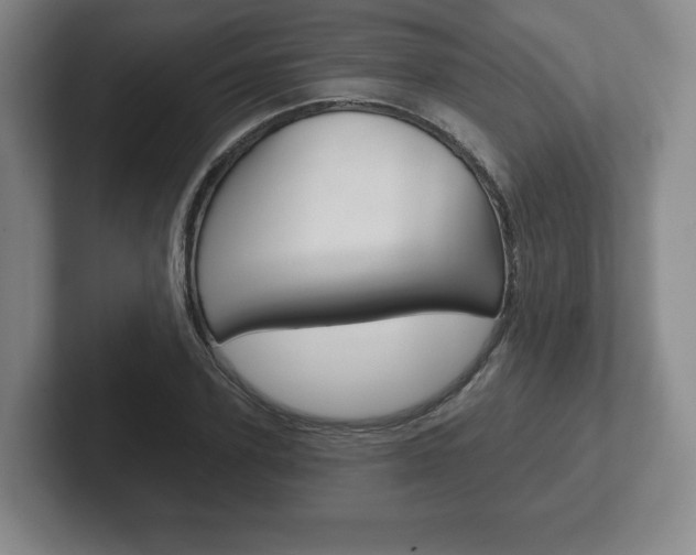 X0000102280931200807250938