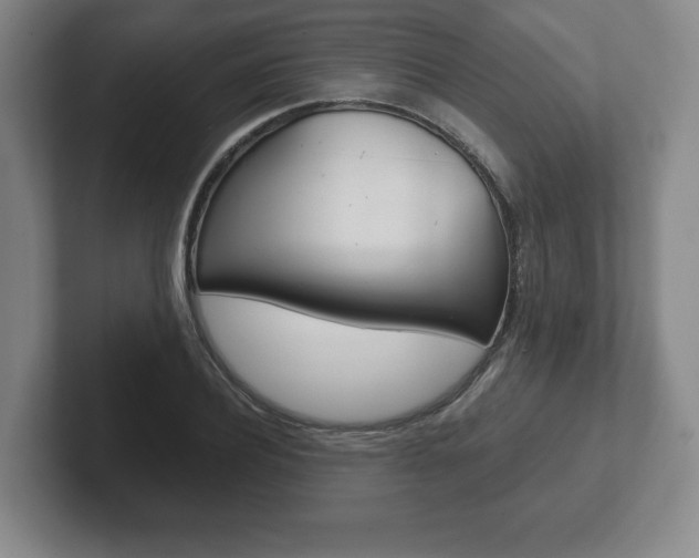 X0000102280932200807250938