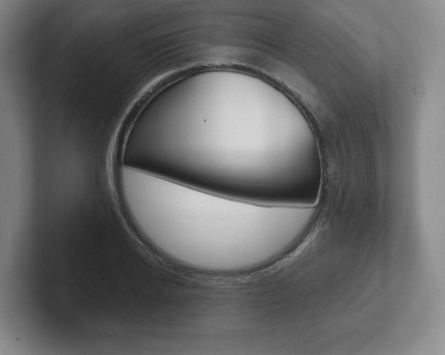 X0000102280934200807250938