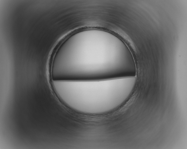 X0000102280935200807250938