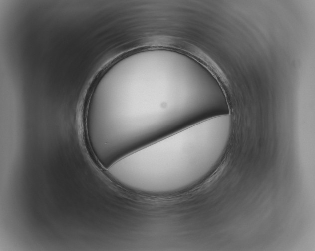 X0000102280939200807250938