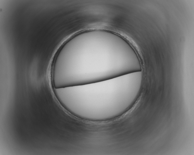 X0000102280941200807250938