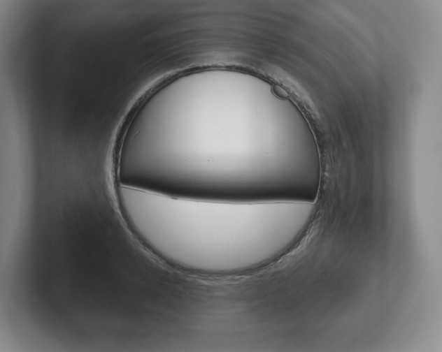 X0000102280942200807250938
