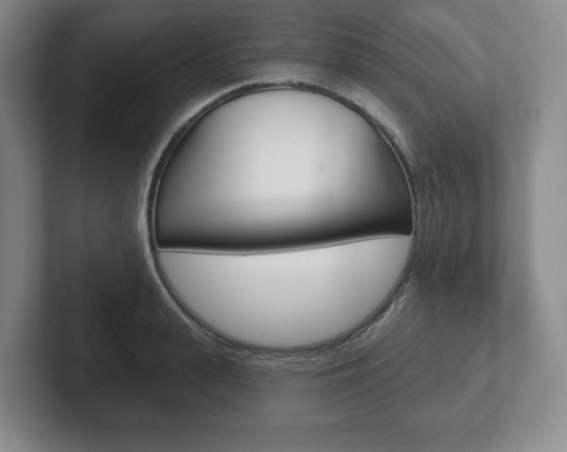X0000102280943200807250938