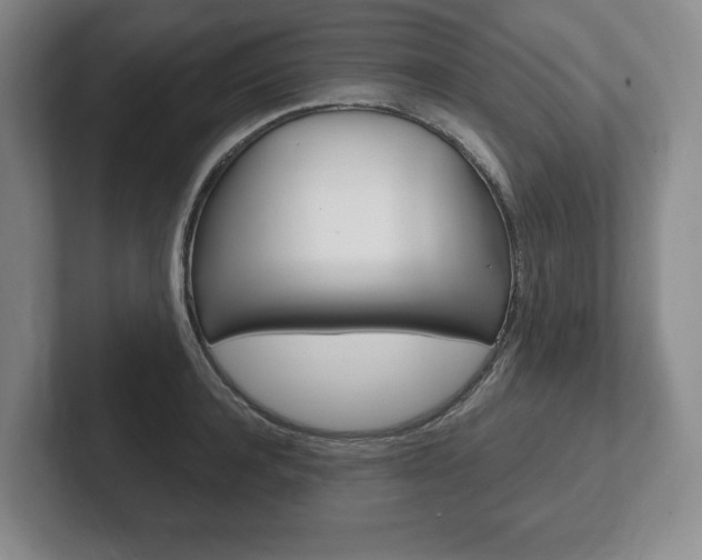 X0000102280944200807250938
