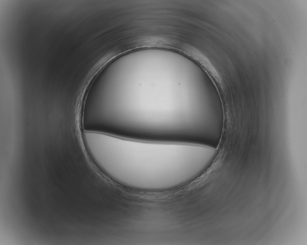 X0000102280946200807250938