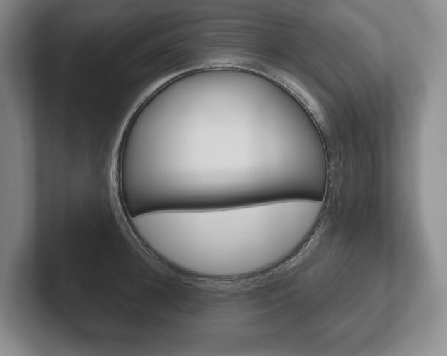 X0000102280948200807250938