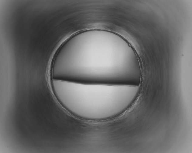 X0000102280949200807250938