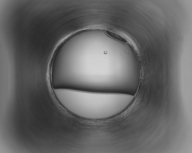 X0000102280952200807250938