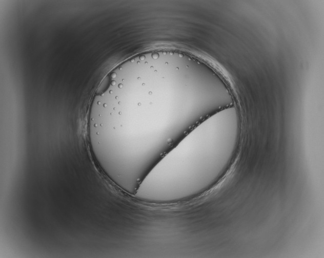 X0000102280953200807250938