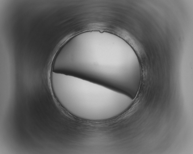 X0000102280954200807250938