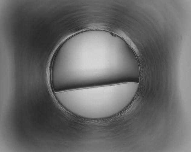 X0000102280955200807250938