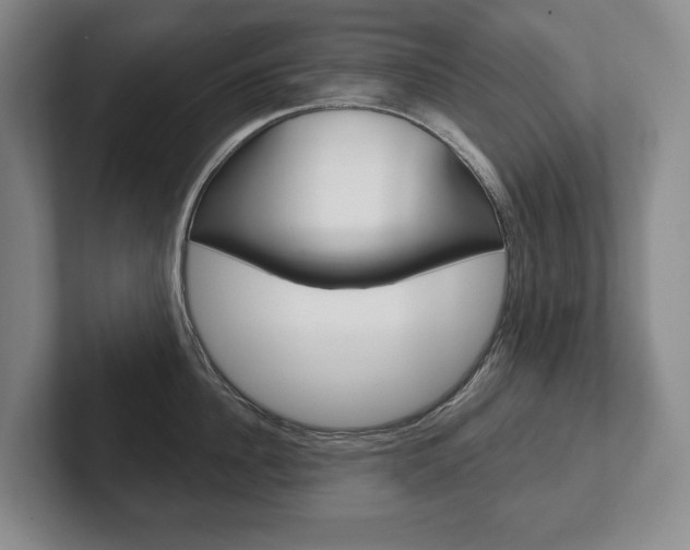 X0000102280956200807250938