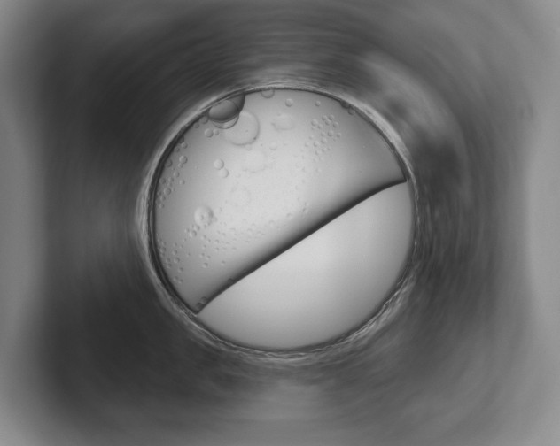 X0000102280957200807250938