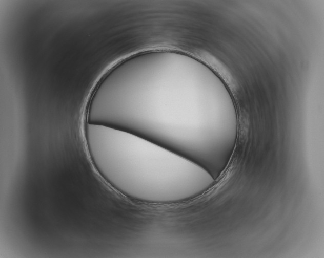 X0000102280958200807250938