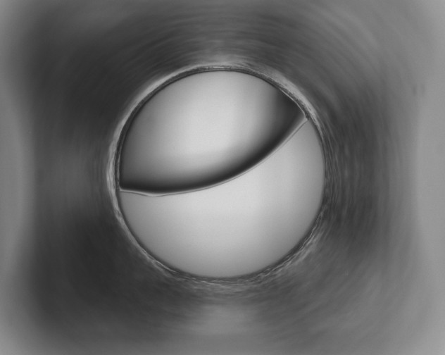 X0000102280959200807250938