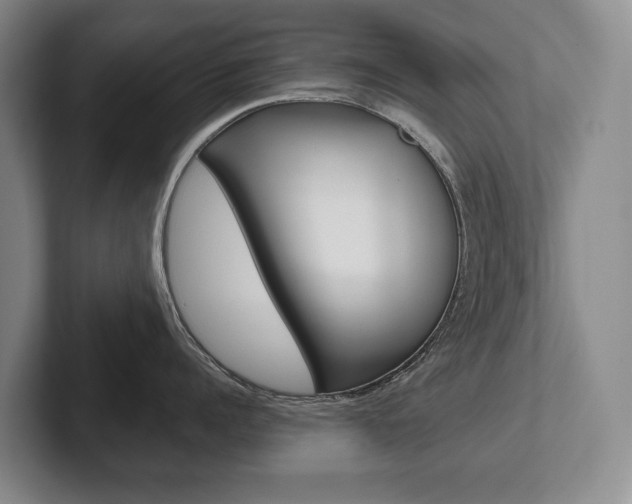 X0000102280960200807250938