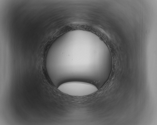 X0000102280965200807250938