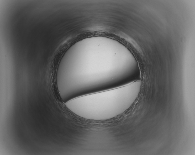 X0000102280967200807250938