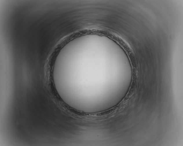 X0000102280968200807250938