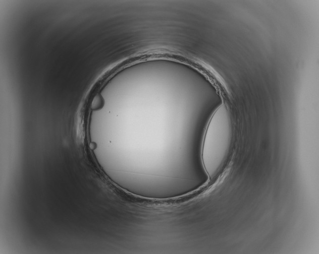 X0000102280973200807250938