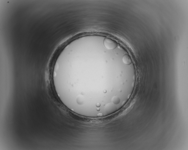 X0000102280974200807250938