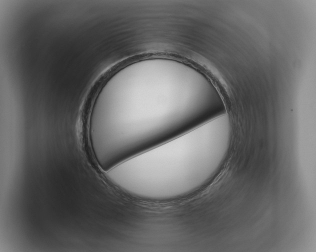 X0000102280975200807250938