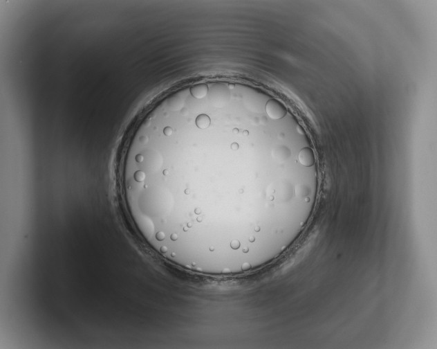 X0000102280978200807250938