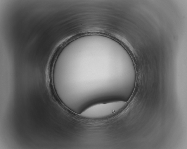 X0000102280979200807250938