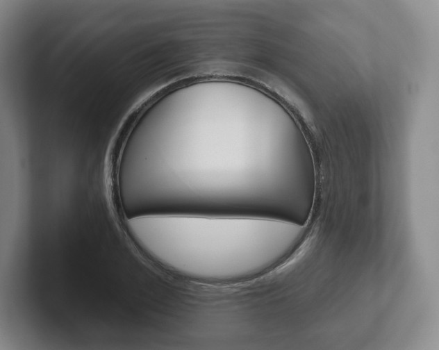 X0000102280981200807250937