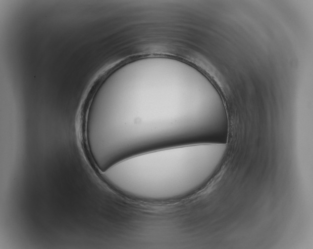 X0000102280987200807250937